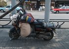 DSC 8811